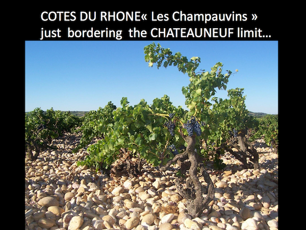 Châteauneuf du Pape Biowein Agricultur Biologique Wein in Göppingen und Aalen kaufen Cotes du Rhone 