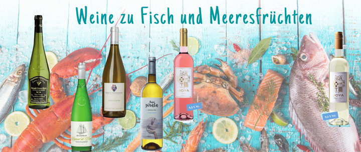 Ein guter Fang: Lernen Sie unsere Auswahl an Weinen zu Fisch und Meeresfrüchten kennen. Ganz aktuell bei Wein-Musketier in Göppingen
